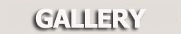 Cleaning Service photo gallery Button